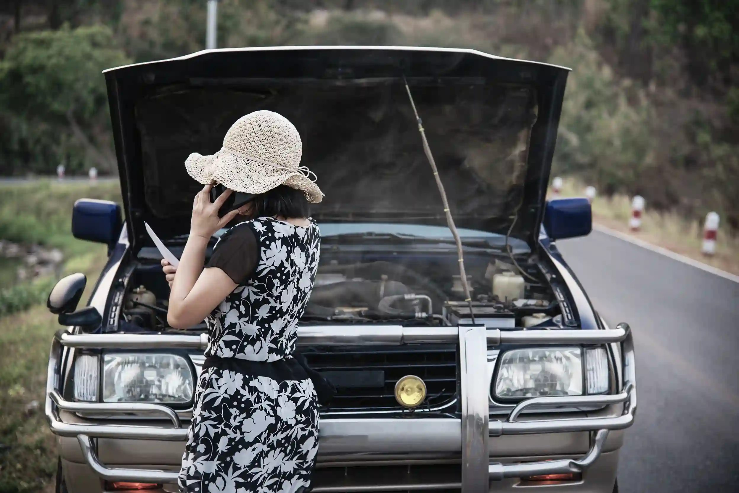 Dampak Cumi Darat Bagi Mobil