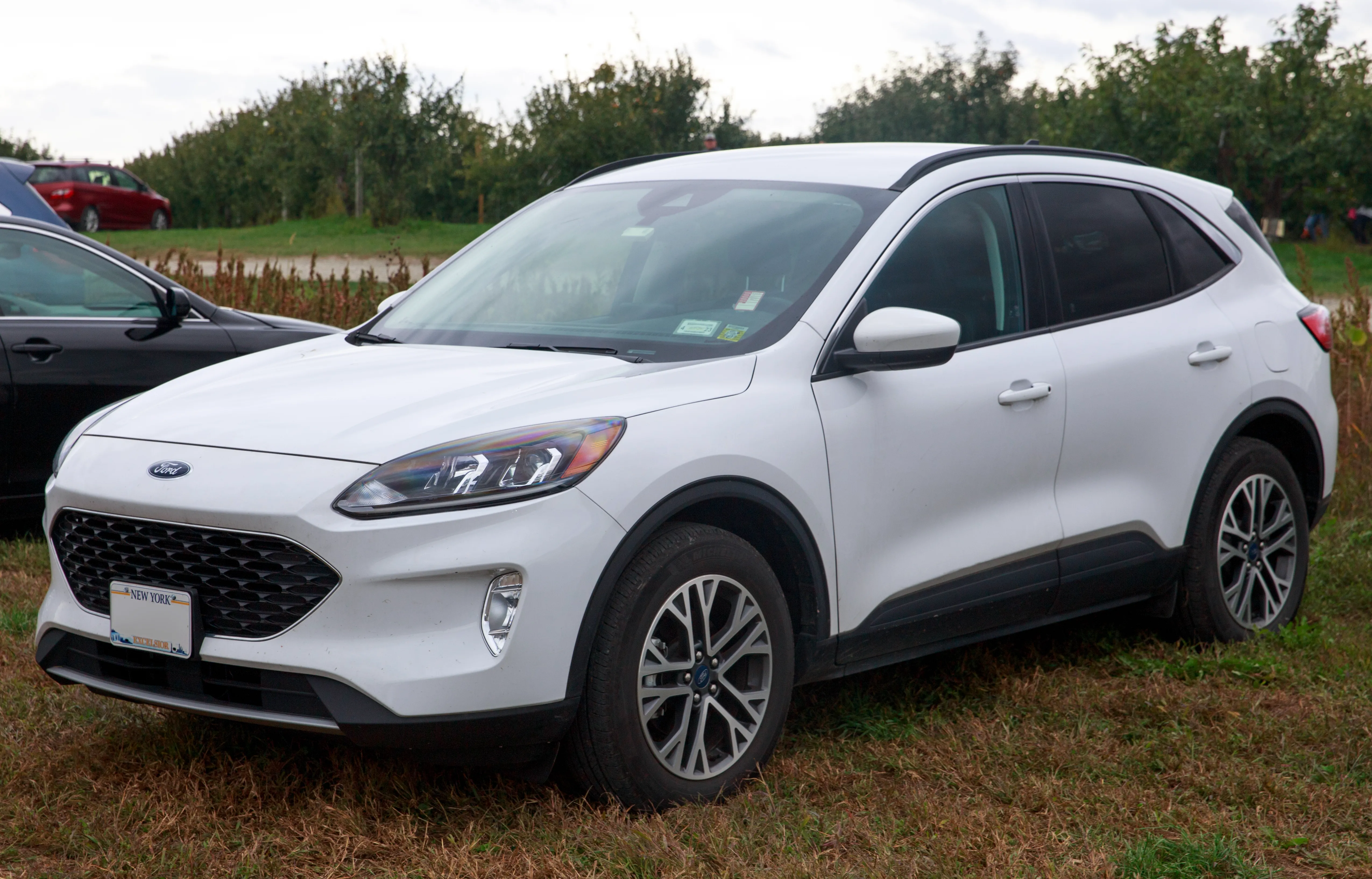 ford escape